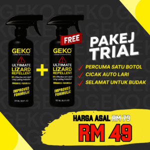 Geko Trial Set